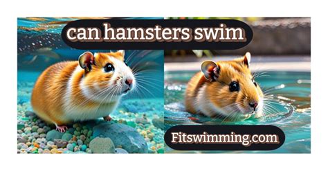 Can Hamsters Swim? Exploring the Depths of Rodent Aquatic Abilities